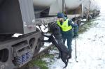 Funkcjonariuszka podczas przeszukania pociągu z psem służbowym.